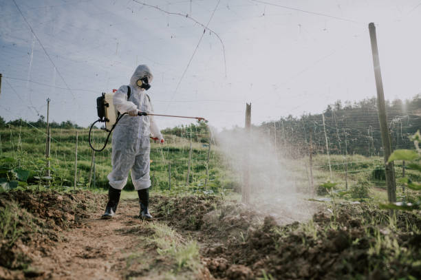 Best Local Pest Control Services  in Victoria, KS
