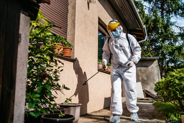 Best Termite Control Services  in Victoria, KS