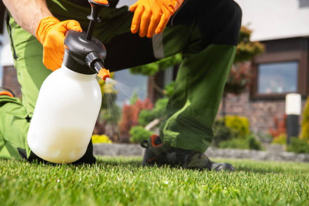 Best Affordable Pest Control Services  in Victoria, KS