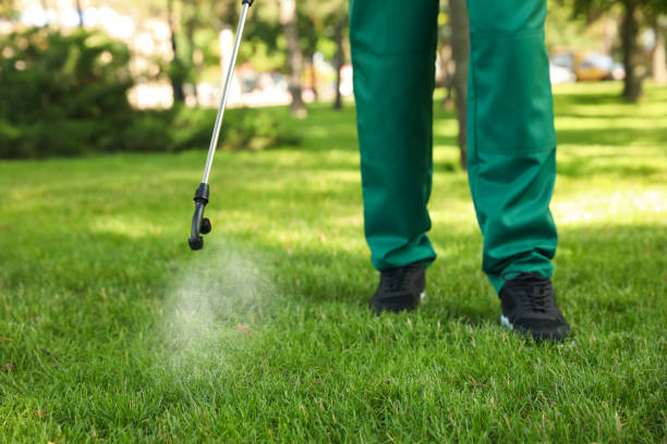 Best Exterminator Services  in Victoria, KS