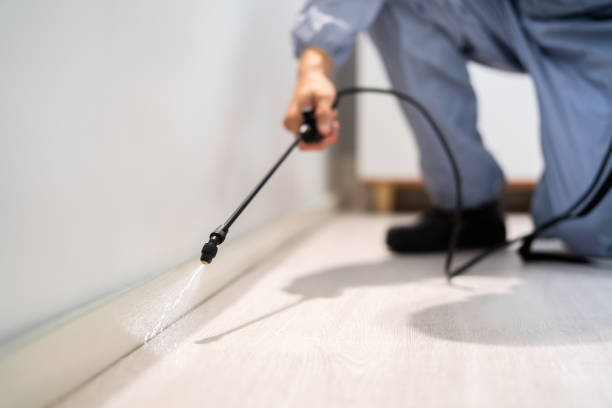 Best Pest Inspection Near Me  in Victoria, KS