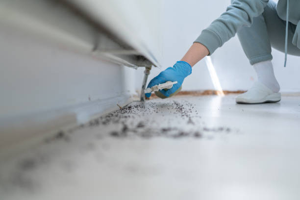 Best Affordable Pest Control Services  in Victoria, KS